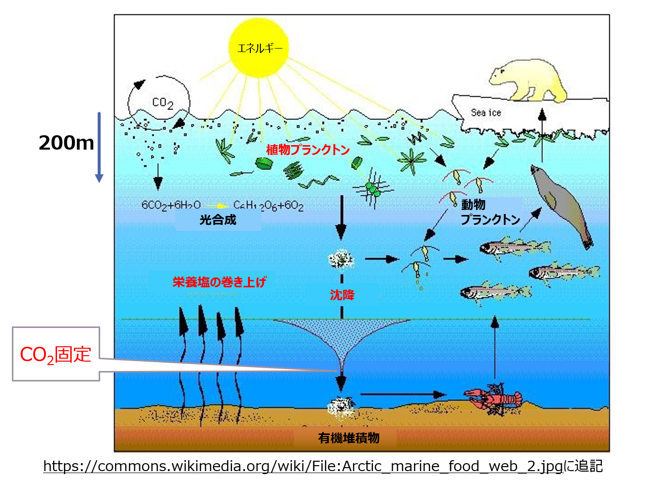 海はかつてないほど暖かいです！これは気候に何を意味するのでしょうか?